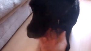 Sony Cybershot DSC T70 Super Fine Test Video BITCH! ;)