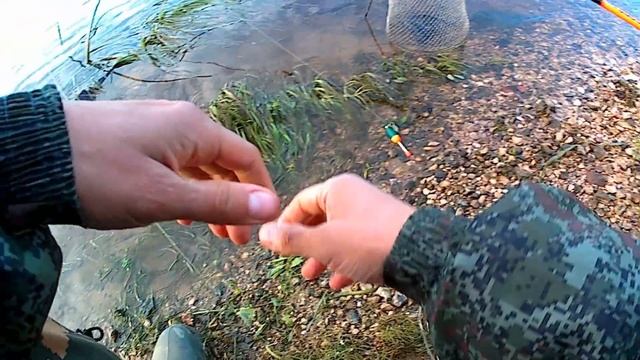 Почему не ловится СОМ? Где ОН? Одна из причин! смотреть онлайн