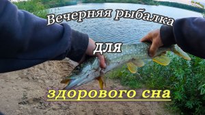 Вечерняя рыбалка для здорового сна.