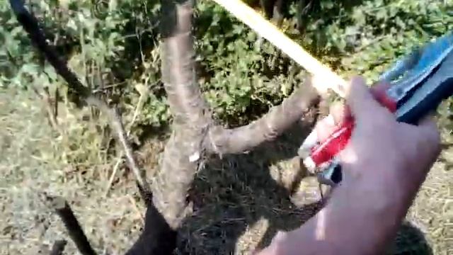 Секатор Центроинструмент режет ветки до 3 см.