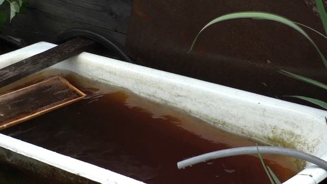 Очистка сот после зимовки. #пчелаулей смотреть онлайн