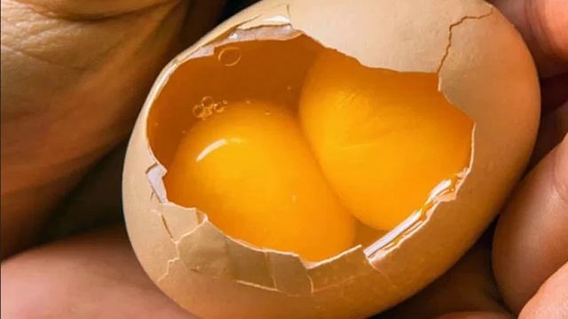Почему в одном курином яйце два желтка смотреть онлайн