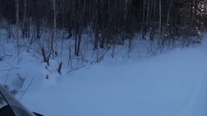 Охота и Прогулка По Лесу на Снегоходе Тайга Варяг