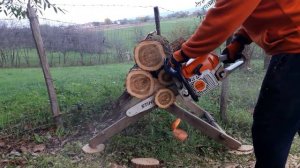 STIHL ms 391 vs STIHL ms 362 same chain same bar.
