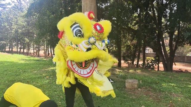 临近春节，看看在非洲举办的华人庙会，异国他乡感受中国文化 смотреть онлайн