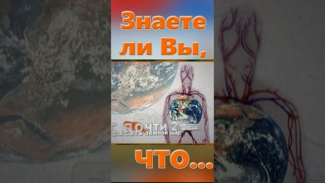 Знаете ли вы, Что? Сосуды