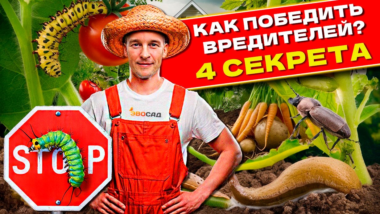 Как победить вредителей в саду без химии? 4 секрета
