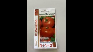 Самый лучший томат в мире 2023 г.!!! Высокоурожайный, сладкий и вкусный томат сорта ЕВПАТОР F1!!!