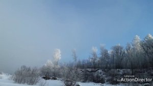 Амурская рыбалка.  Бурея.  Щука. Зима.