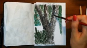 Sketch 39 - Sketching a tree and a bush