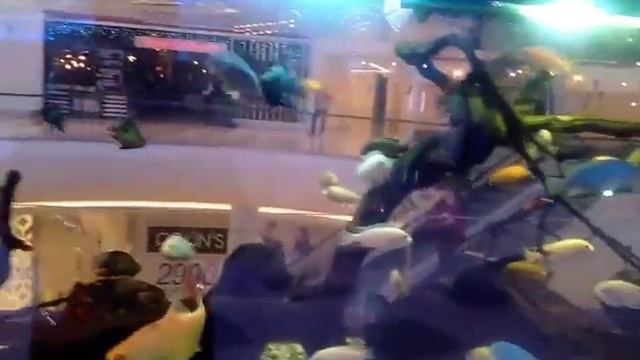 Акварин. смотреть онлайн