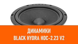 Распаковка динамиков Black Hydra HDC-2.23 V2