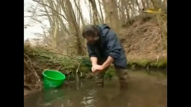Где и Как добыть мотыль?