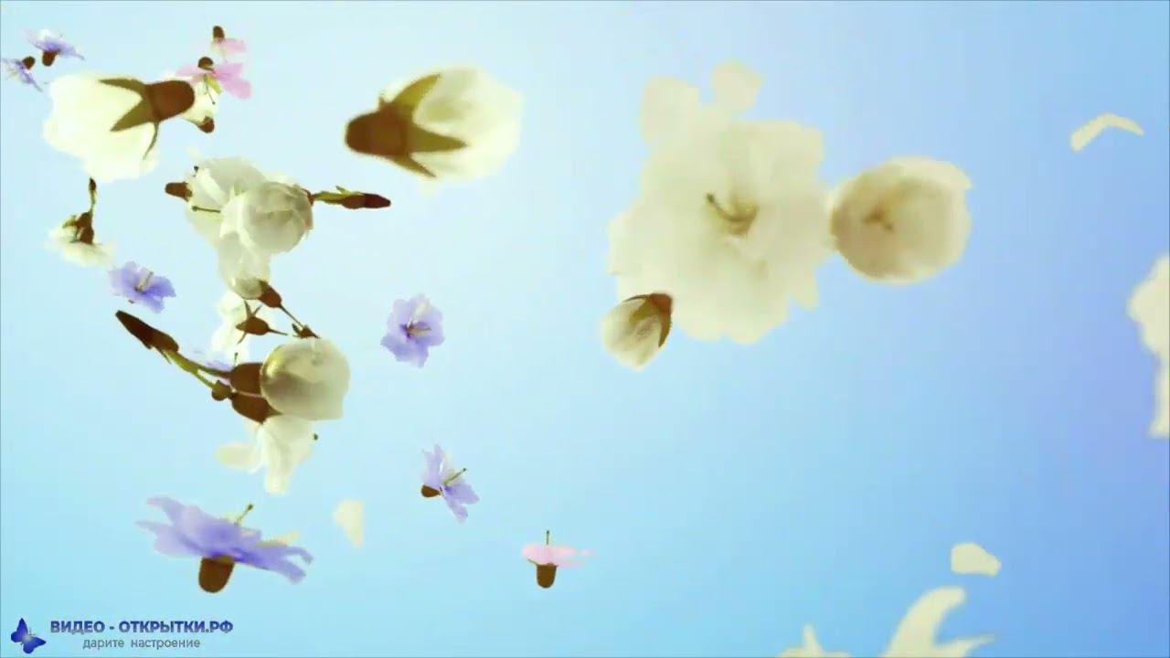 Поздравление с 8 марта! смотреть онлайн