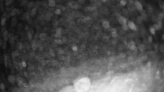 Оз. Хепоярви / Токсово / Ленинградская область первая рыбалка, подводная камера зимняя рыбалка смотреть онлайн