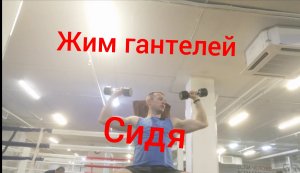 Жим гантелей сидя