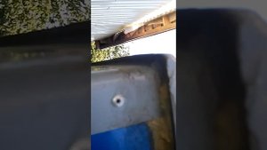закабинный спальник газель бизнес