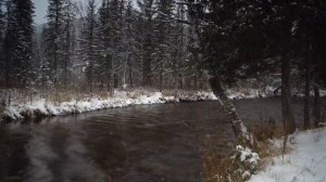 Расслабляющие звуки реки | журчание воды | Relaxing sounds of the river | murmur of water.