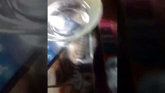 Новый слайм меняет цвет на голубой смотреть онлайн