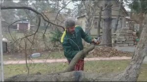 обрезка,лечение,опрыскивание деревьев Дмитров 2 часть
