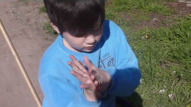 Familia Electrica - Diente de Leon смотреть онлайн