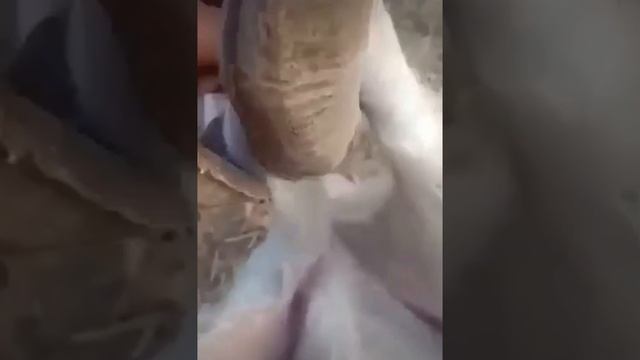 Мужики поймут( смотреть онлайн