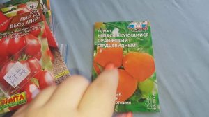 Среднерослые томаты для открытого грунта . Мой выбор на сезон 2022 .