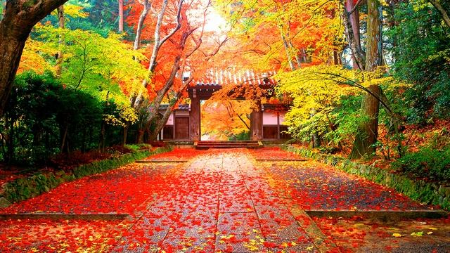 Вот в чём вопрос (стих) смотреть онлайн