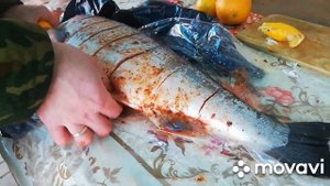 Сёмга на гриле. Рыба на мангале. Красная рыбка на углях.