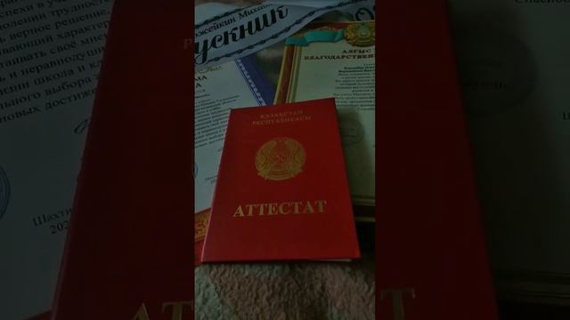 #обзор #отличник #красный #аттестат #9класс #гордость смотреть онлайн
