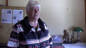 Атаманское степное лесничество - Александровский лес