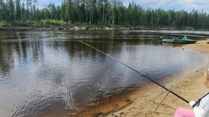 Рыбалка на таежной реке в хмао,