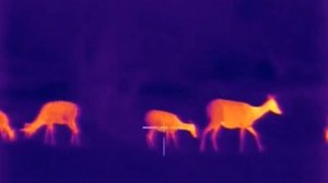 Тепловизоры FORTUNA. Сравнение приборов и поколений