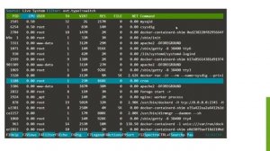 Monitoring and managing Containers using Open Source tools