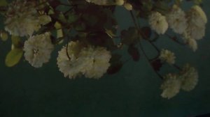 Люблю я макароны, хоть говорят они меня погубят(наброски)