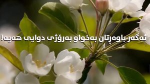 Прекрасное чтение Корана - Раыд Мухаммад Курди
