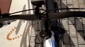 Forward FLASH 26 2.0 disc