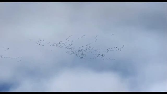 МЖД "Поэты золотого века" 5 Крестьянские дети смотреть онлайн