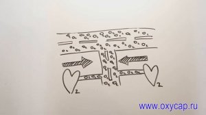 Для чего нужен кислород. Барокамера в Казани. Купить барокамеру. Баротерапия