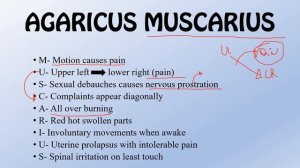 ||TRICKS TO REMEMBER-AGARICUS MUSCARIUS||TRICKS TO REMEMBER MATERIA MEDICA