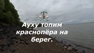 Ауху топим краснопёра на берег.рутуб.mp4