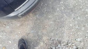 Ford Galaxy 2.0 TDCI работа двигателя на холодную после замены двигателя