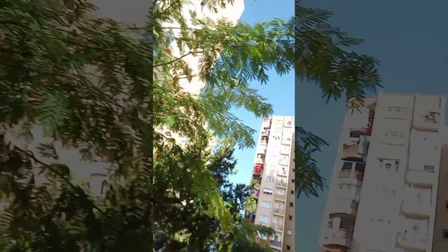 100 лет Турецкой республики смотреть онлайн