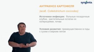 Как отличить антракноз картофеля от бактериоза