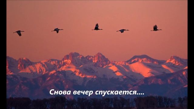 "Над тайгой засыпющей-Ах, журавли, журавли!" - мужской-женский дуэт смотреть онлайн