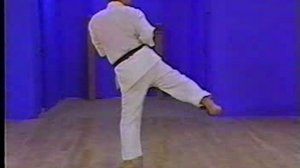 Ката Сэйсан