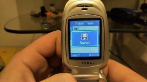 Samsung SGH-X450 menu browse, ringtones, games, wallpapers