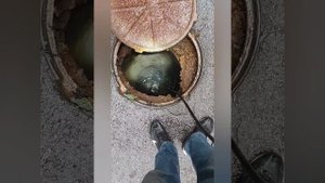 Прочистка унитаза