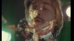 Високосное лето   Мир деревьев