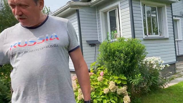 VLOG Меняем сетку на окнах / Коты отжигают / Грибы пошли 20-21.08.21 смотреть онлайн